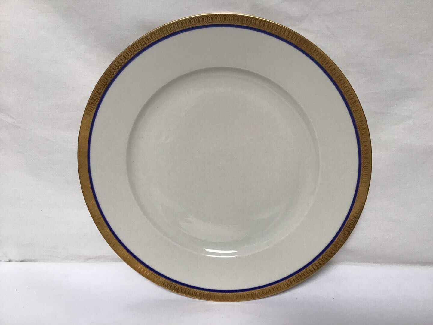U87 Vintage Antique Beautiful  German Gold Edged Porcelain Dinner Plate 