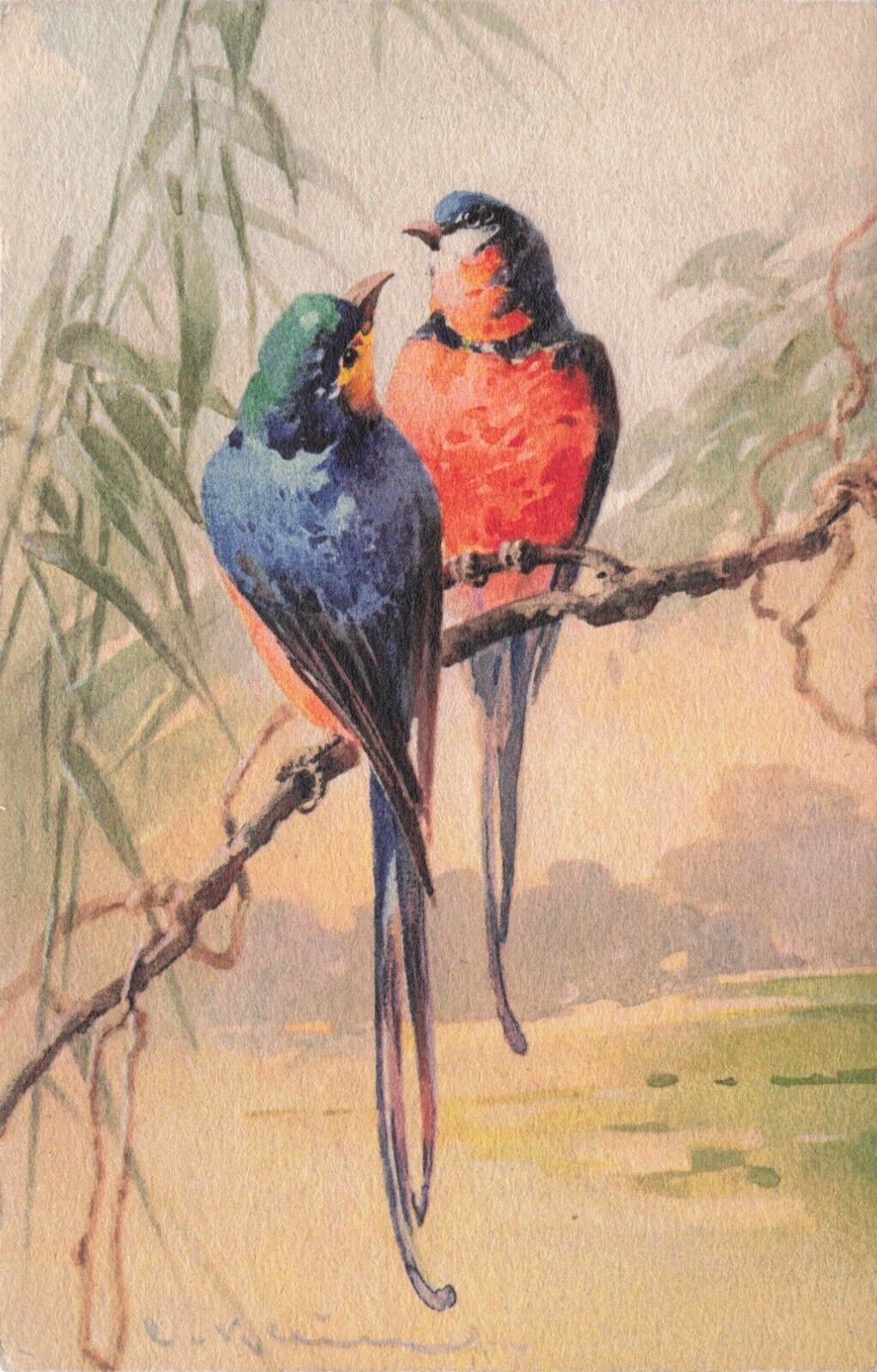 Artist Signed Catharine Klein Two Colorful Birds on Branch Vintage Postcard