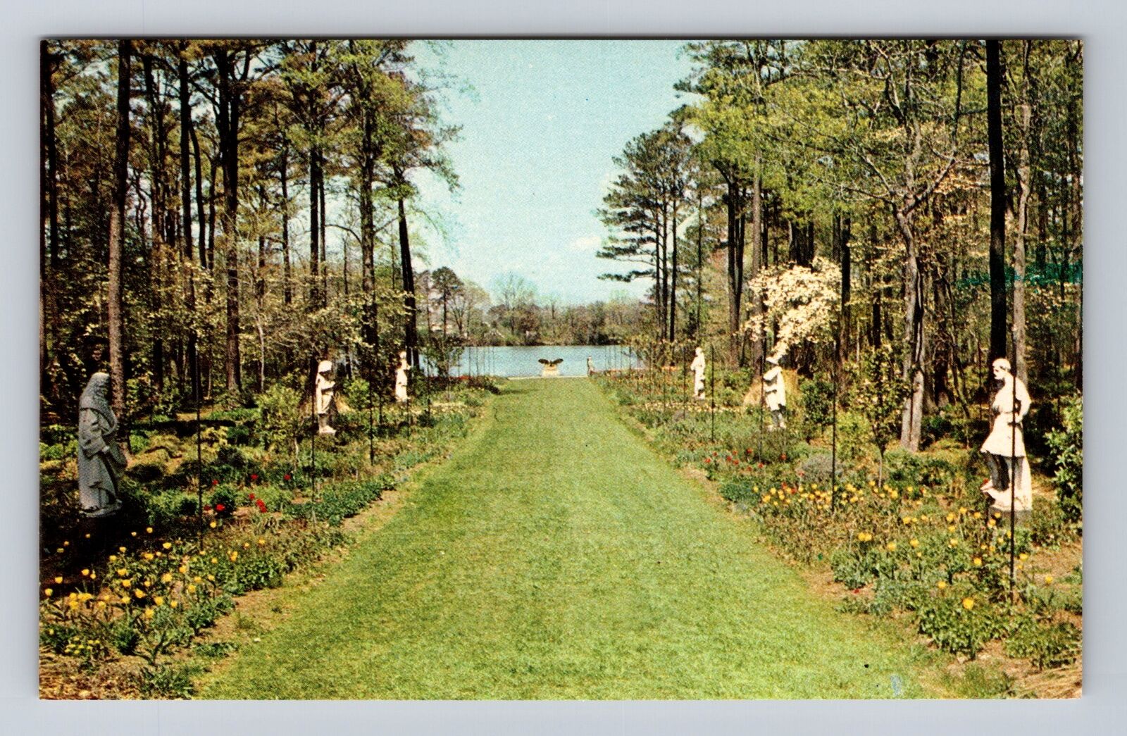 Norfolk VA-Virginia, Botanical Gardens, Perennial Garden, Vintage Postcard