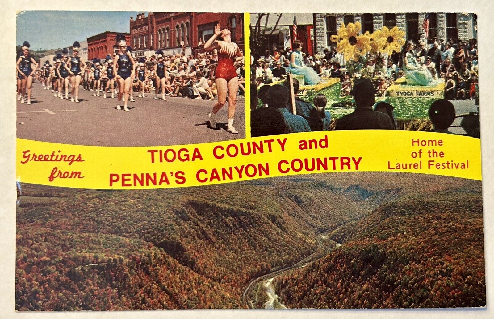 Greetings From Tioga County Canyon Country Pennsylvania. Vintage Postcard