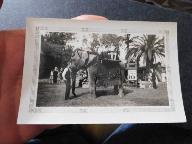 VINT SNAPSHOT PHOTO,  10 CENT ELEPHANT RIDE