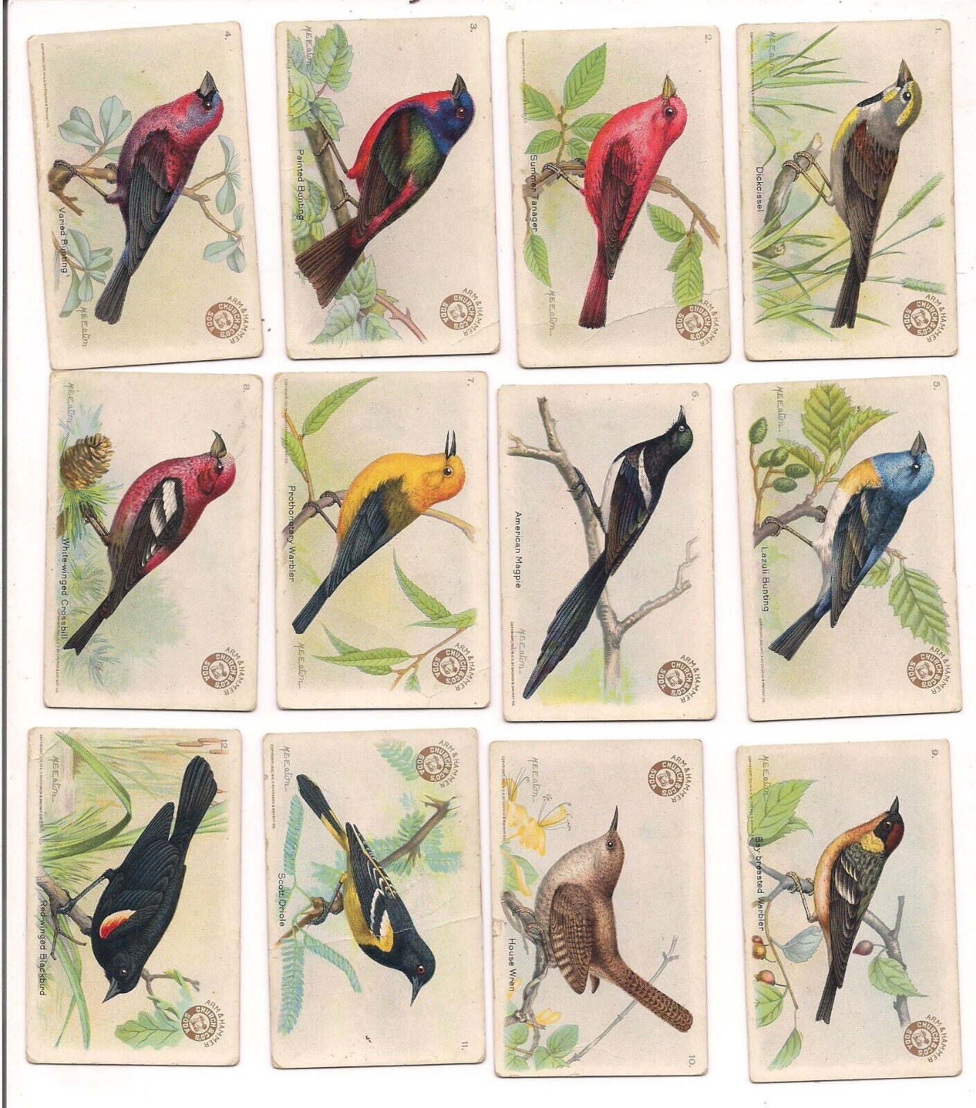 USEFUL BIRDS OF AMERICA THIRD SERIES OF 30 CARDS - MISSING ONE - #13