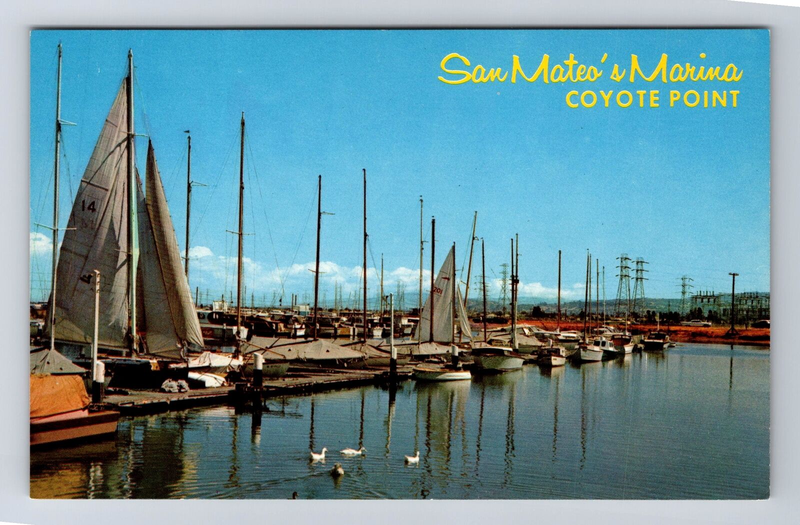 San Mateo CA-California, Marina At Coyote Point, Antique, Vintage Postcard