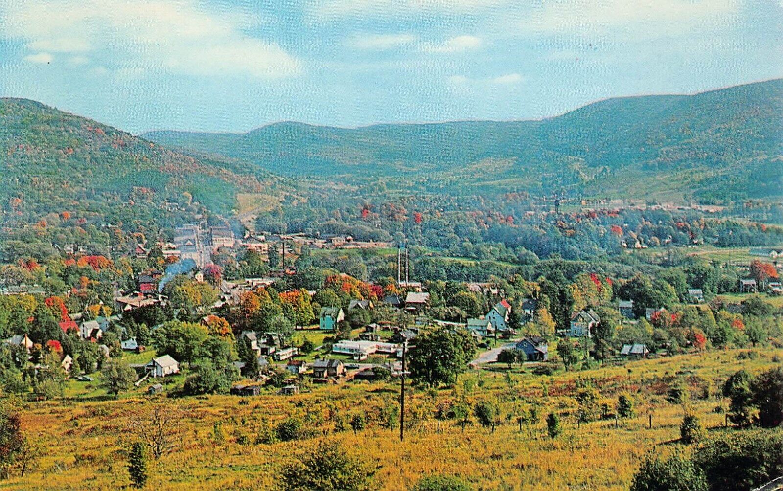 Walton NY New York Catskill Mountains Downtown Main Street View Vtg Postcard B62
