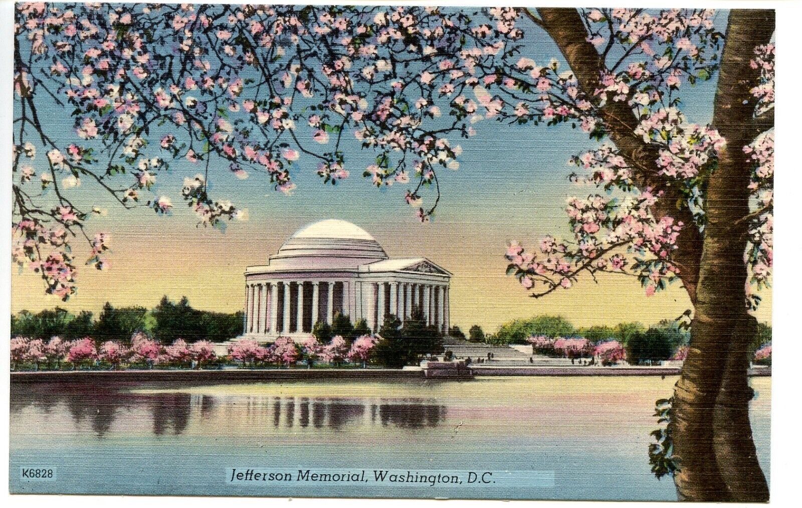 Jefferson Memorial Washington DC Cherry Blossoms Vintage Linen Postcard