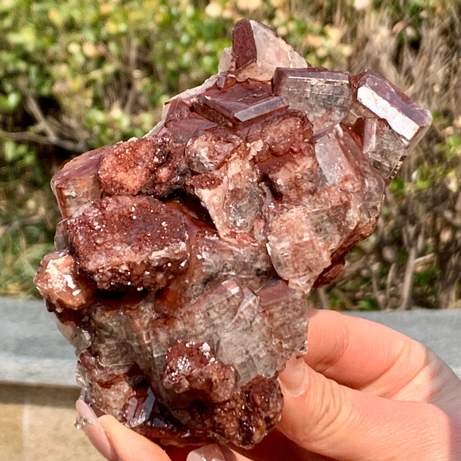 1.06LB Natural Rare special chocolate calcite quartz crystal healing specimen