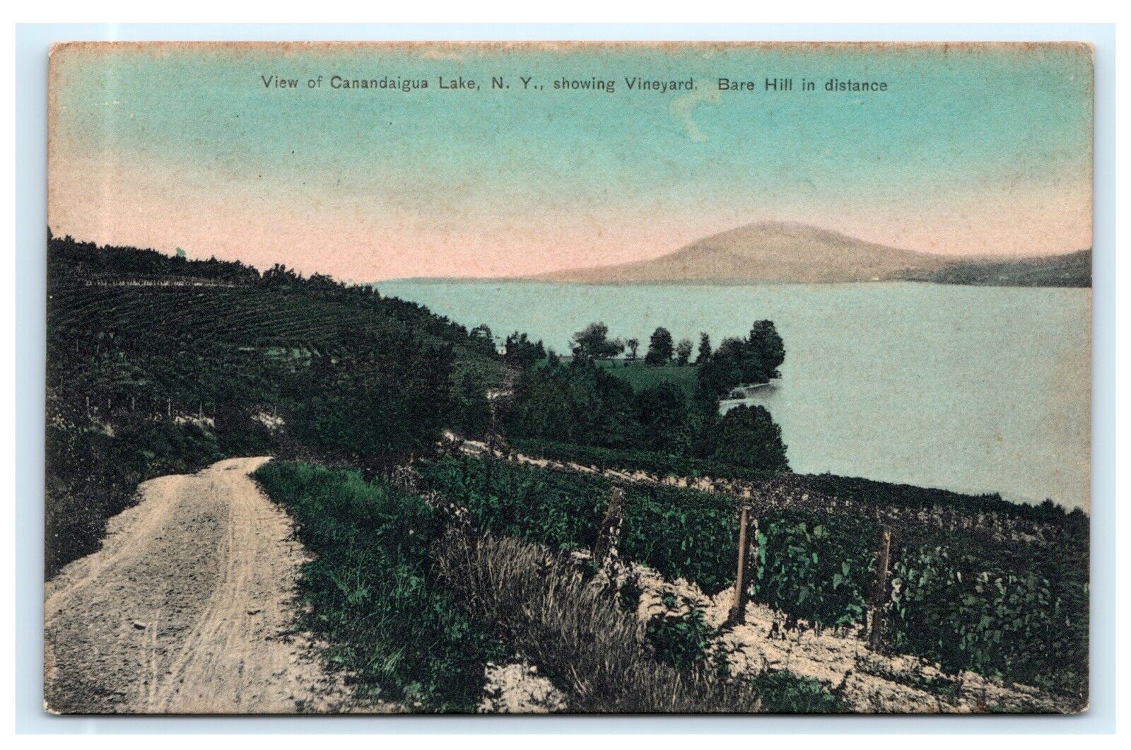 View of Canandaigua Lake NY Showing Vineyard Bare Hill Postcard C14