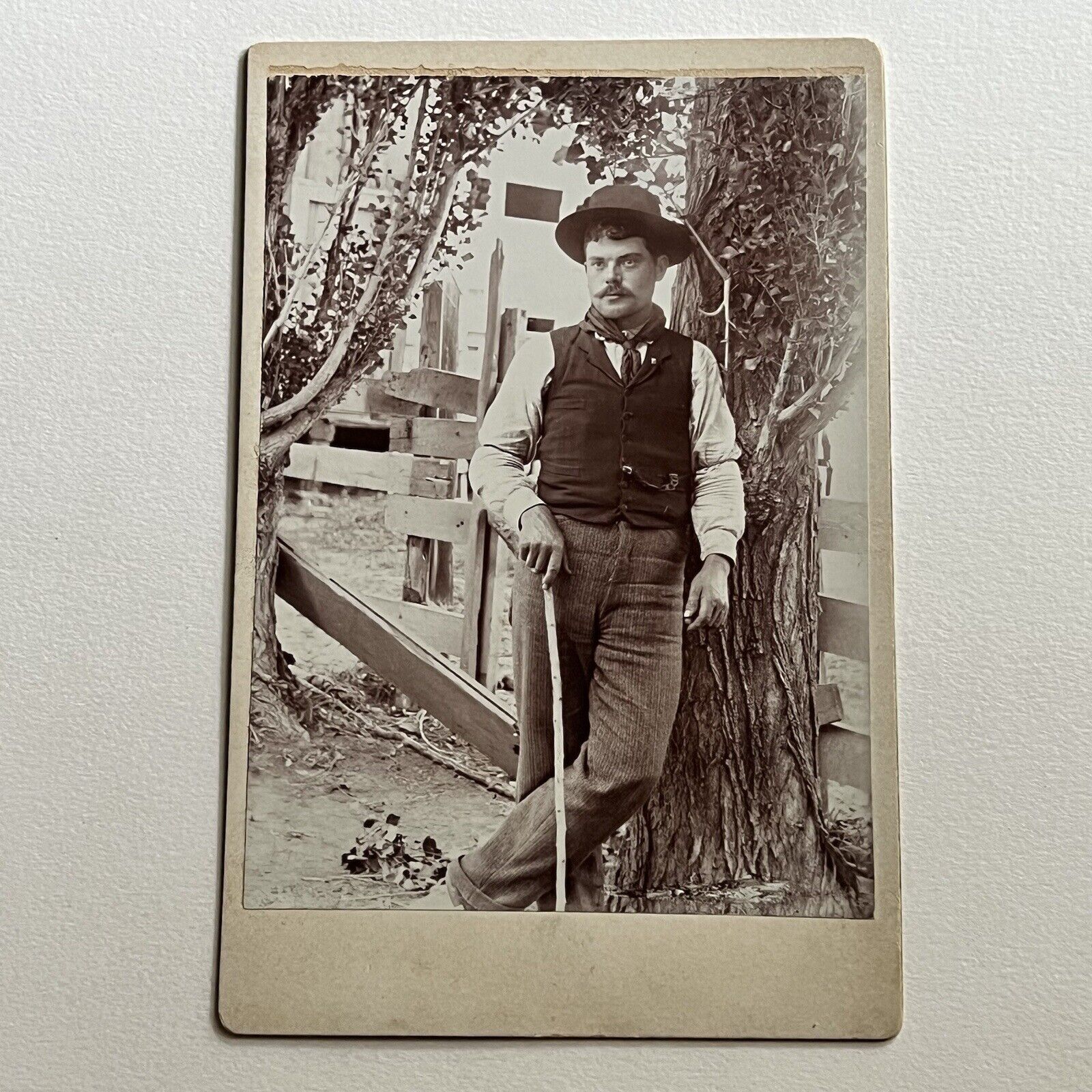 Antique Cabinet Card Photograph Handsome Man Leaning Against Tree Waldron OR
