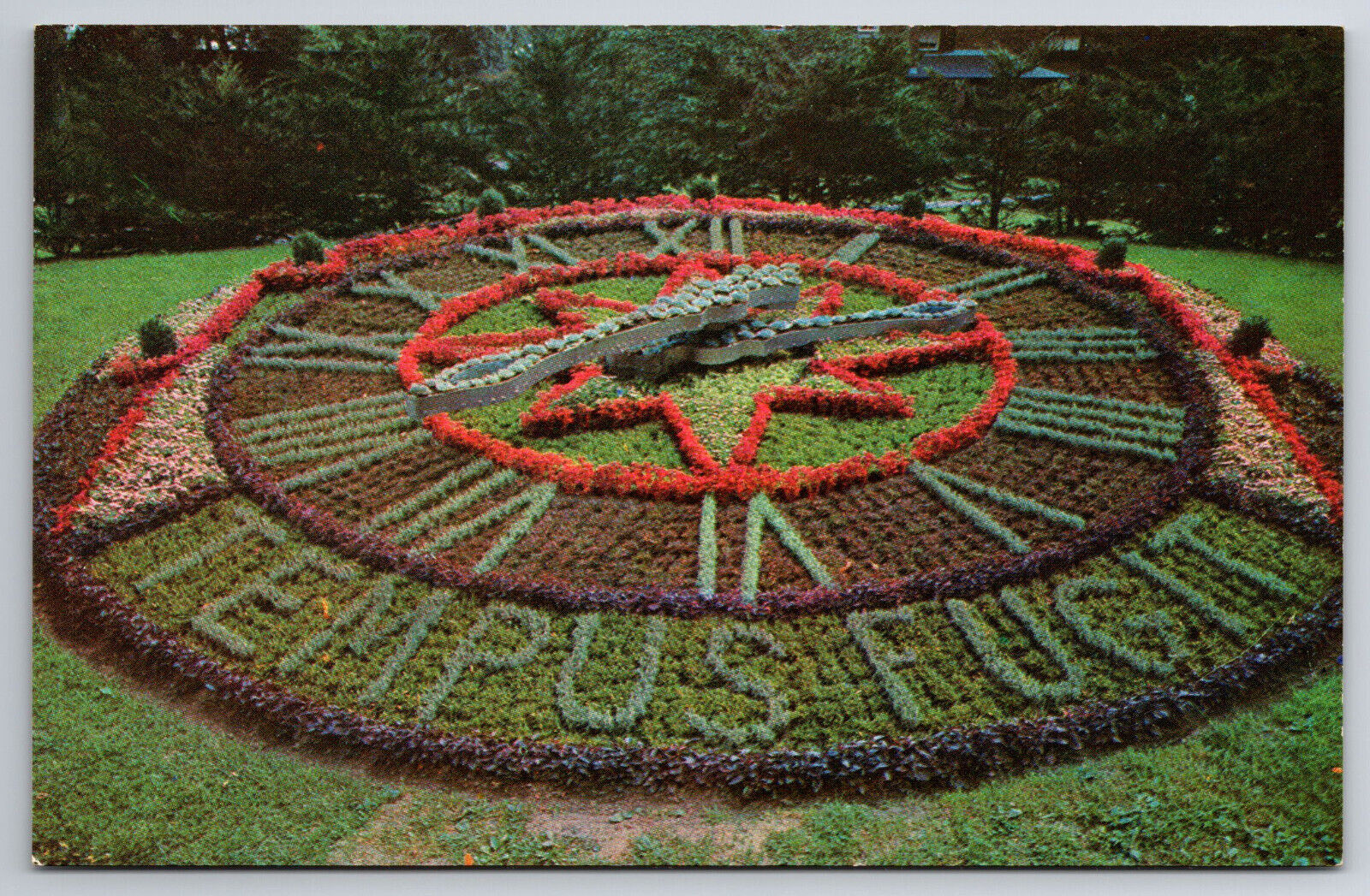 Vintage Canada Postcard Beautiful Floral Clock Westmount Montreal Quebec