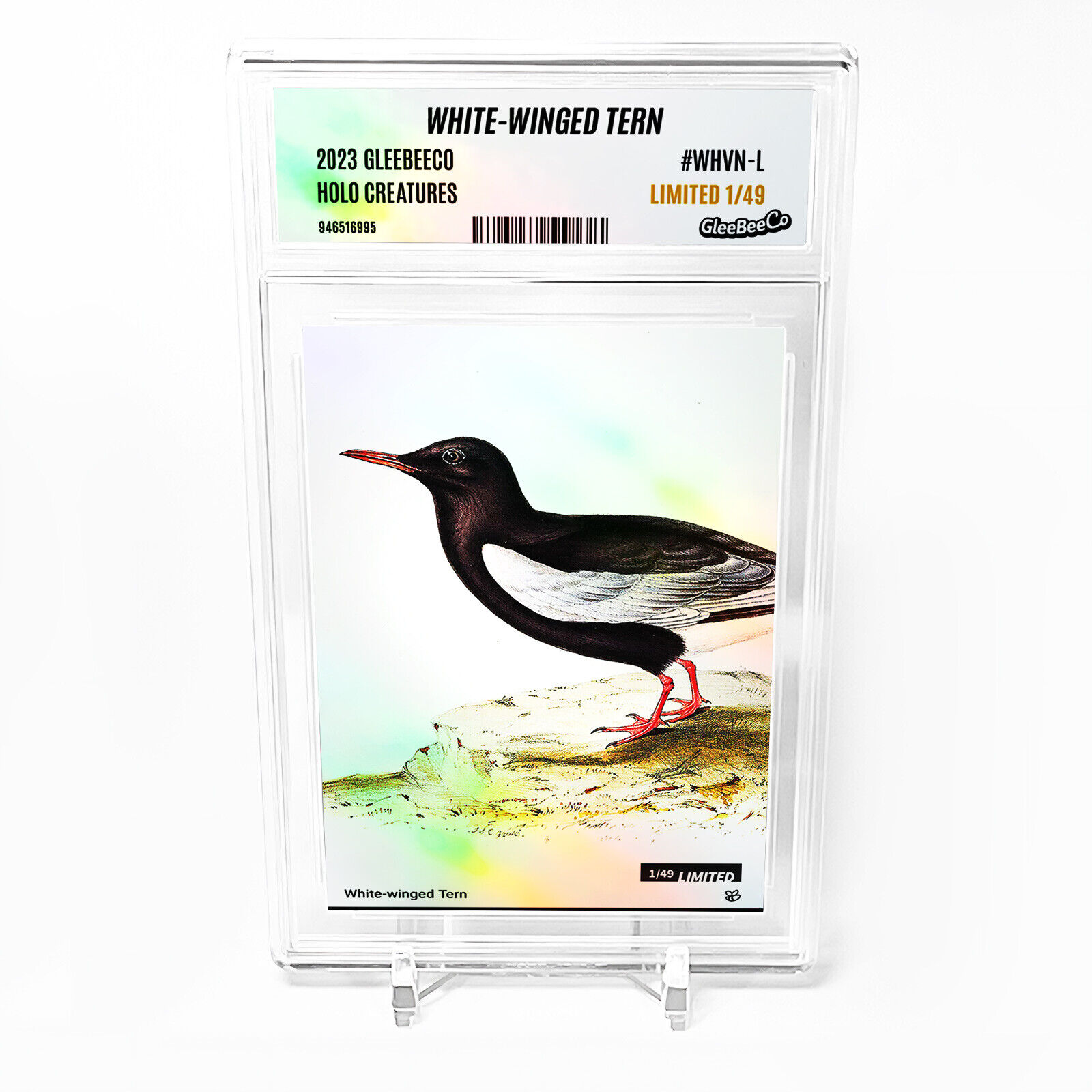 WHITE-WINGED TERN Art Card 2023 GleeBeeCo Holo Creatures #WHVN-L /49
