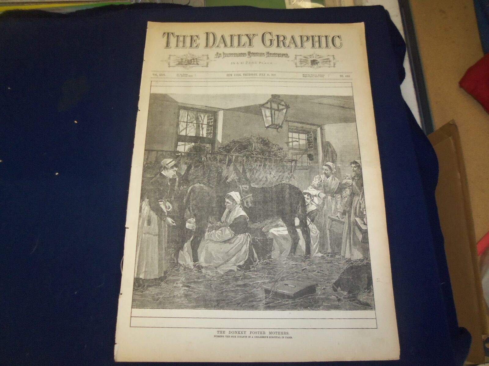 1887 JULY 21 THE DAILY GRAPHIC NEWSPAPER - THE DONKEY FOSTER MOTHERS - NT 7660
