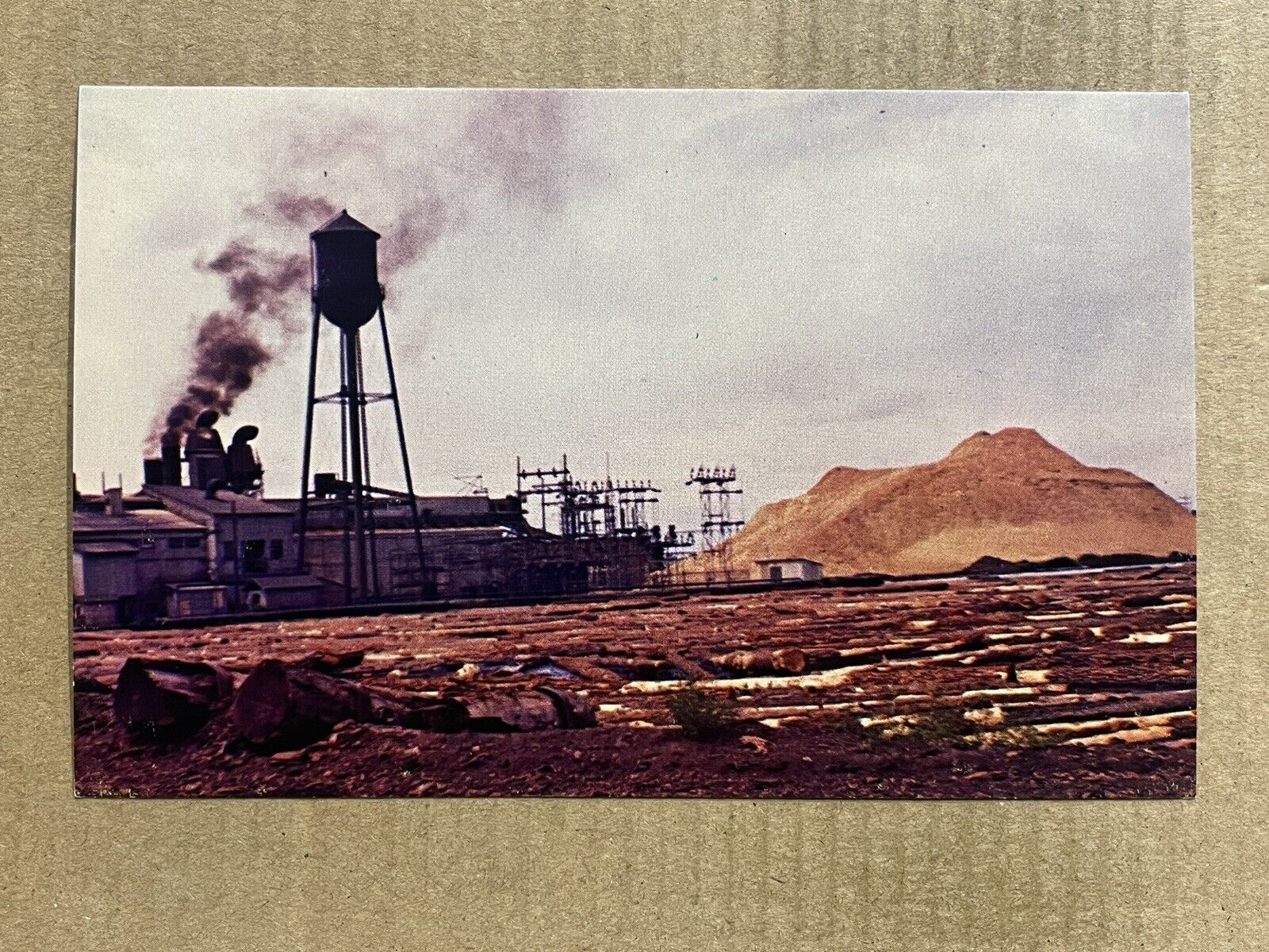 Postcard McNary AZ Arizona Saw Mill Plant Pine Tree Logs Logging Vintage PC
