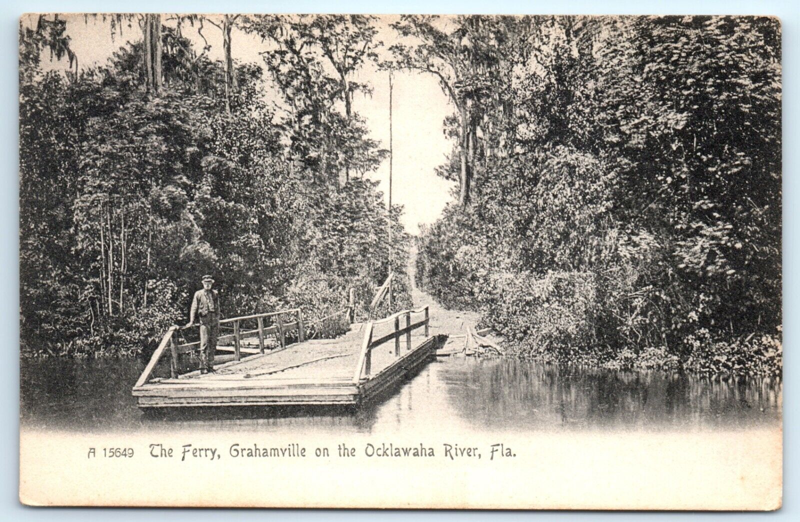 POSTCARD Ferry Grahamville  on the Ocklawaha River Florida c1905 Rotograph