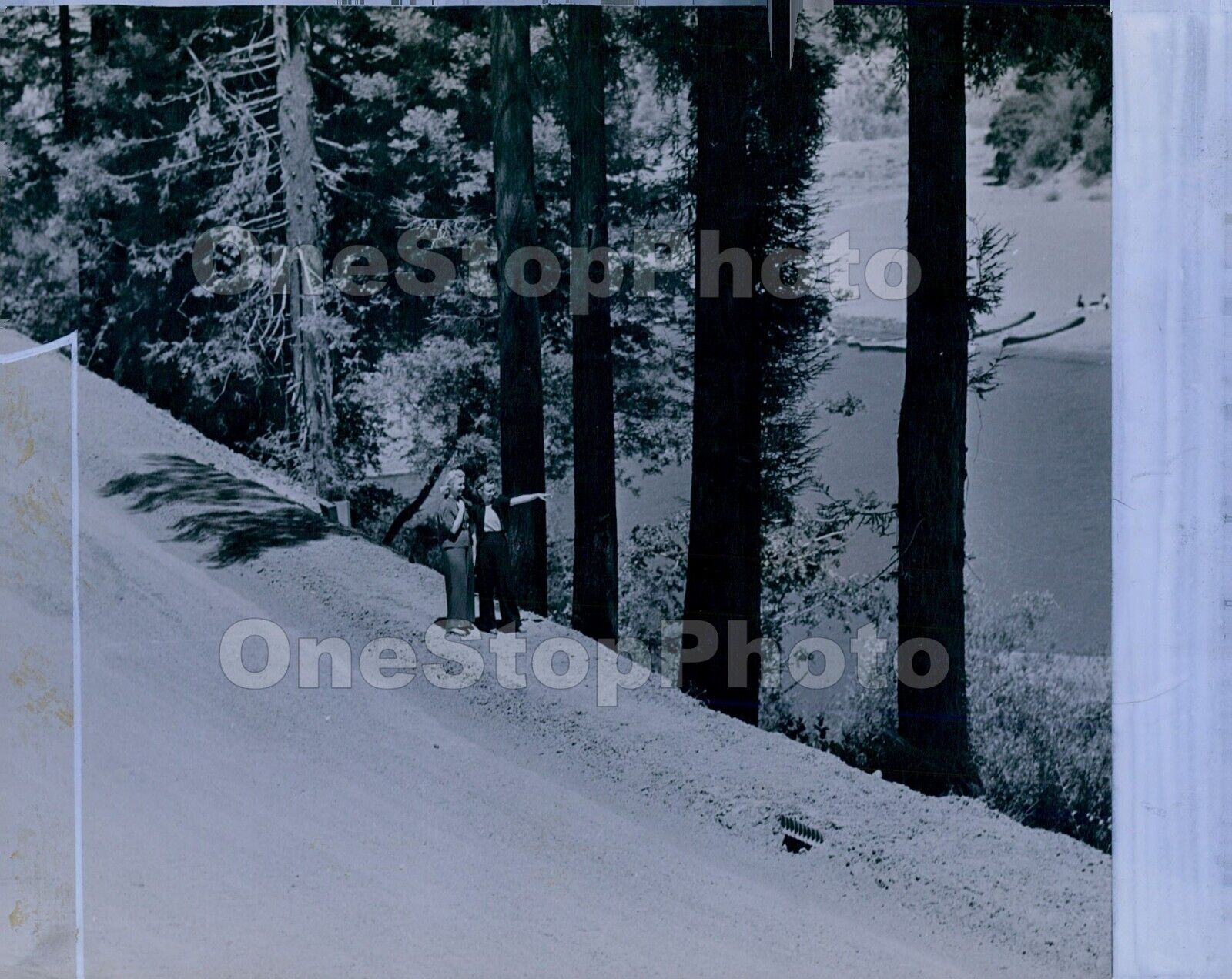 1947 RUSSIAN RIVER Between Guerneville & Northwood Press Photo
