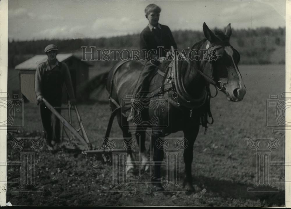 1935 Press Photo Lawrence Larson, Henry Jensen & a horse work a garden in Alaska