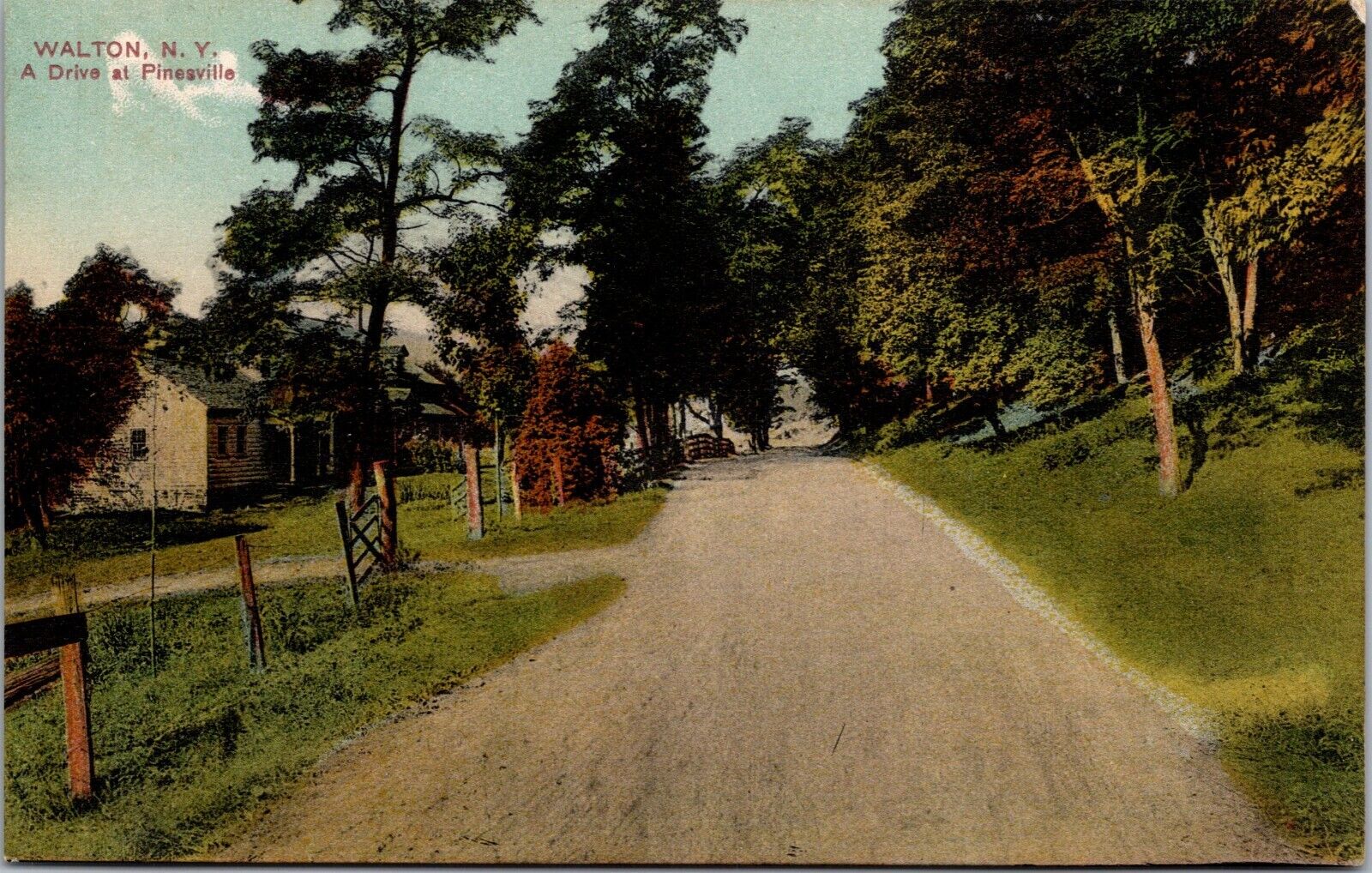 Postcard~Walton New York~Drive at Pinesville~Country Road~c1910~Unposted