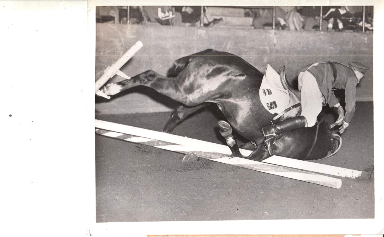 1952 Press Photo - NEIGH O' SHEA - KILCARNE  -  HORSE RACE RACING