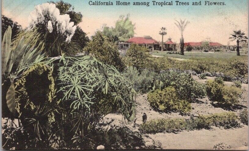 c1910s California HAND-COLORED Postcard \