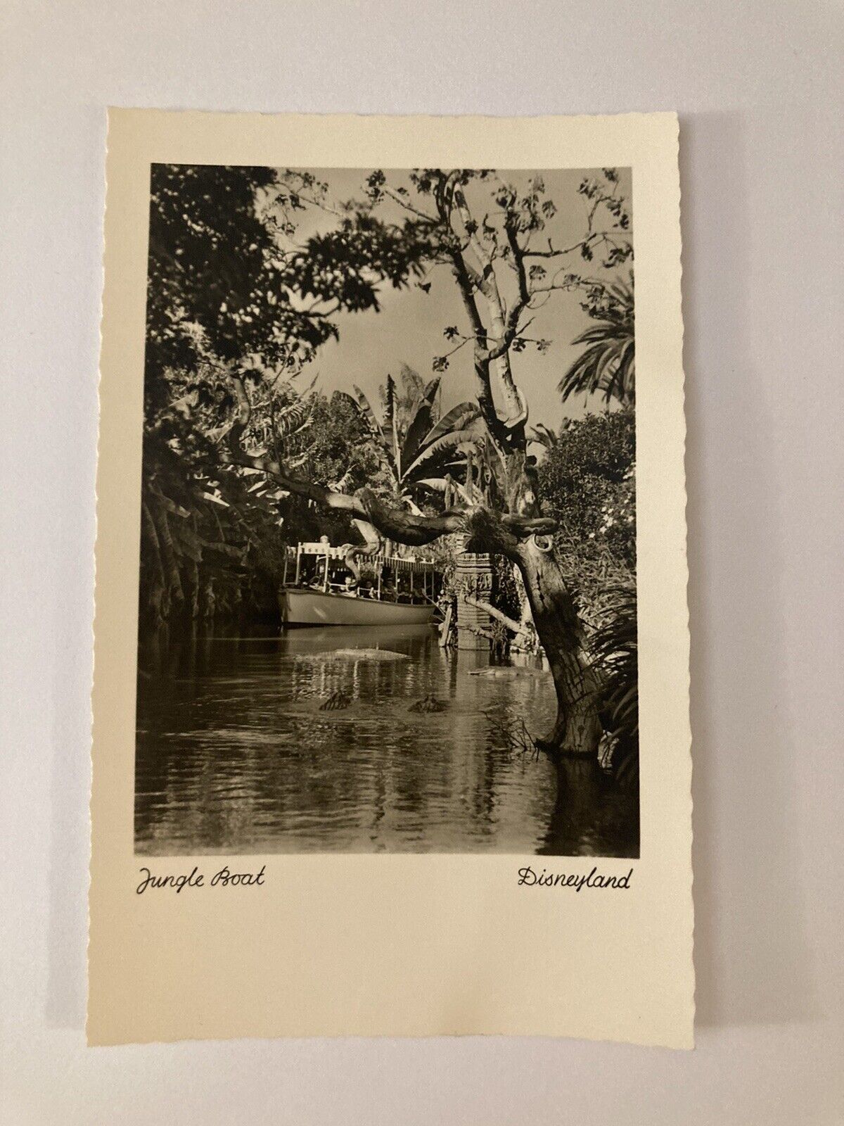 1956 Disneyland Black & White Postcard Made in Germany Vintage Rare HTF