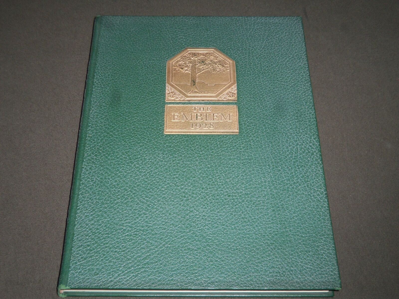 1928 THE EMBLEM CHICAGO NORMAL COLLEGE YEARBOOK + SUPPLEMENT - YB 915