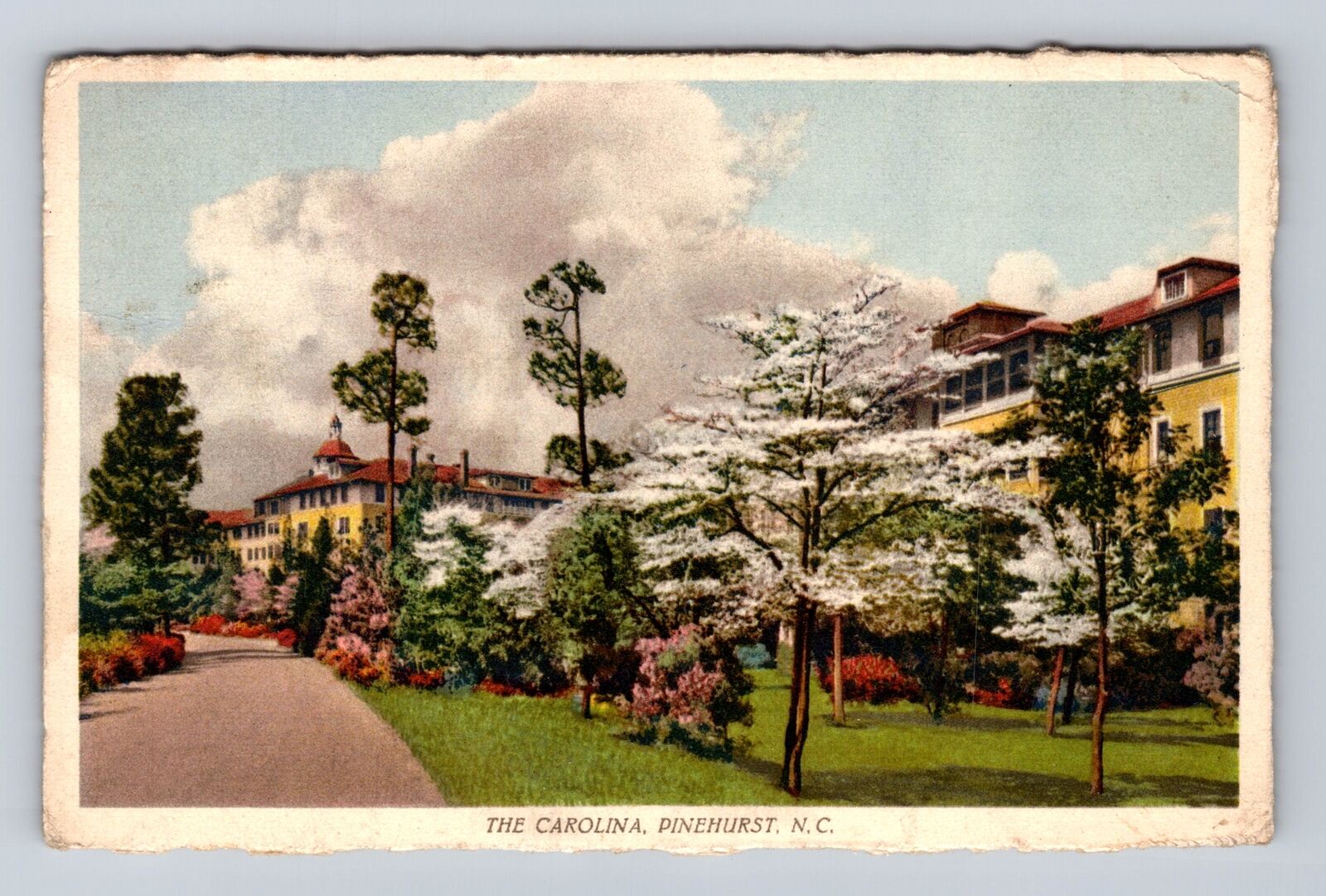 Pinehurst NC-North Carolina, The Carolina, Advertising, Vintage c1940 Postcard