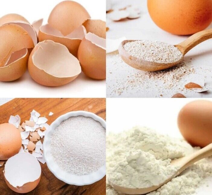 Egg Shell  🐣 Spell Powder 1/2 Oz Voodoo Protect Bless Ritual Wicca Hoodoo