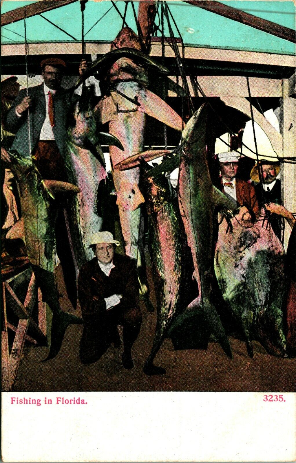 Fishing In Florida Sharks Tuna Hanging Posed UNP DB Postcard 1910s Unused