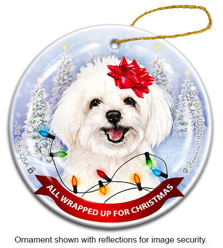 All Wrapped Up Ornament - Maltipoo