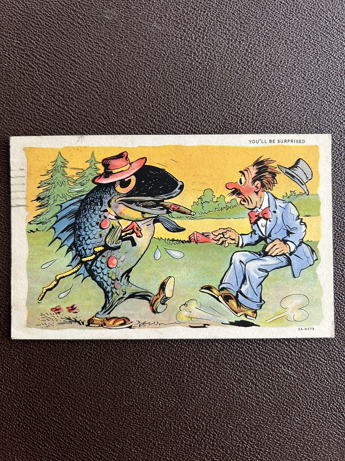 Fishing Humor You’ll Be Surprised Fish With Cigar Post Card