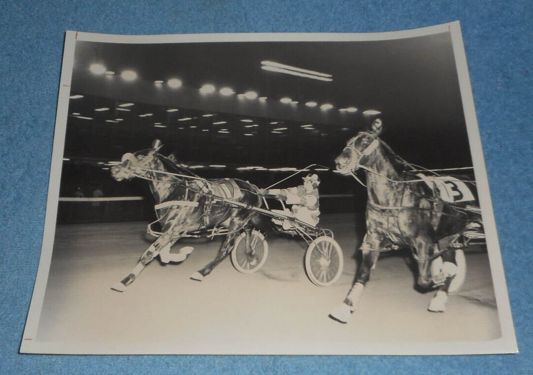 March 1974 Harness Racing Press Photo Horse 