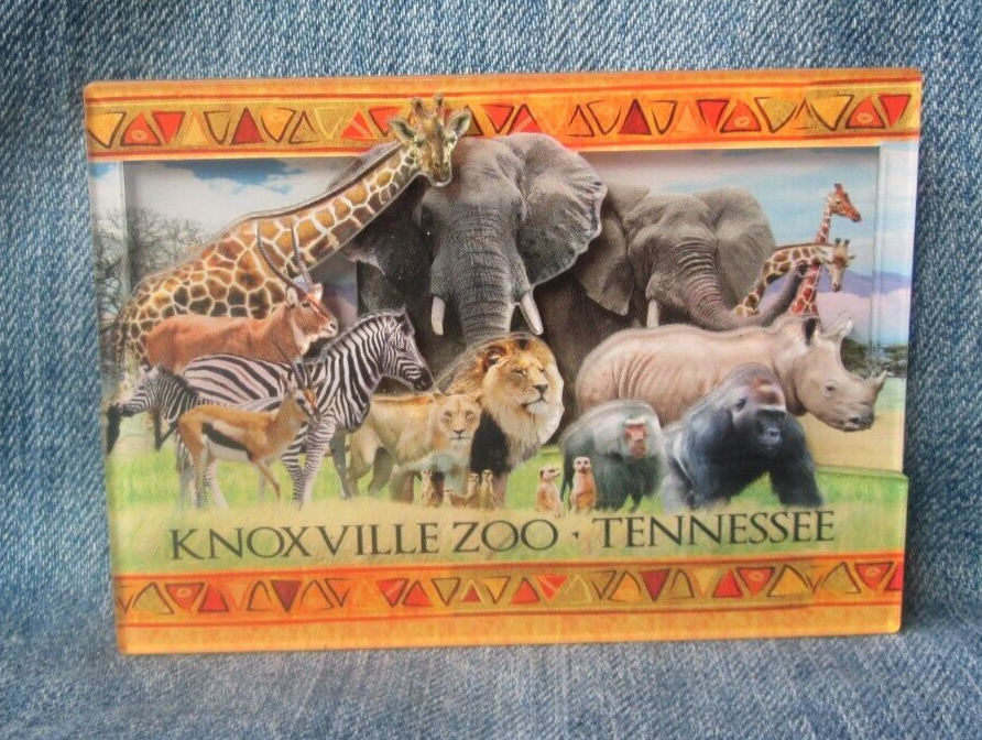 Wildlife Animals Knoxville Zoo Tennessee Dimensional Magnet Souvenir Fridge
