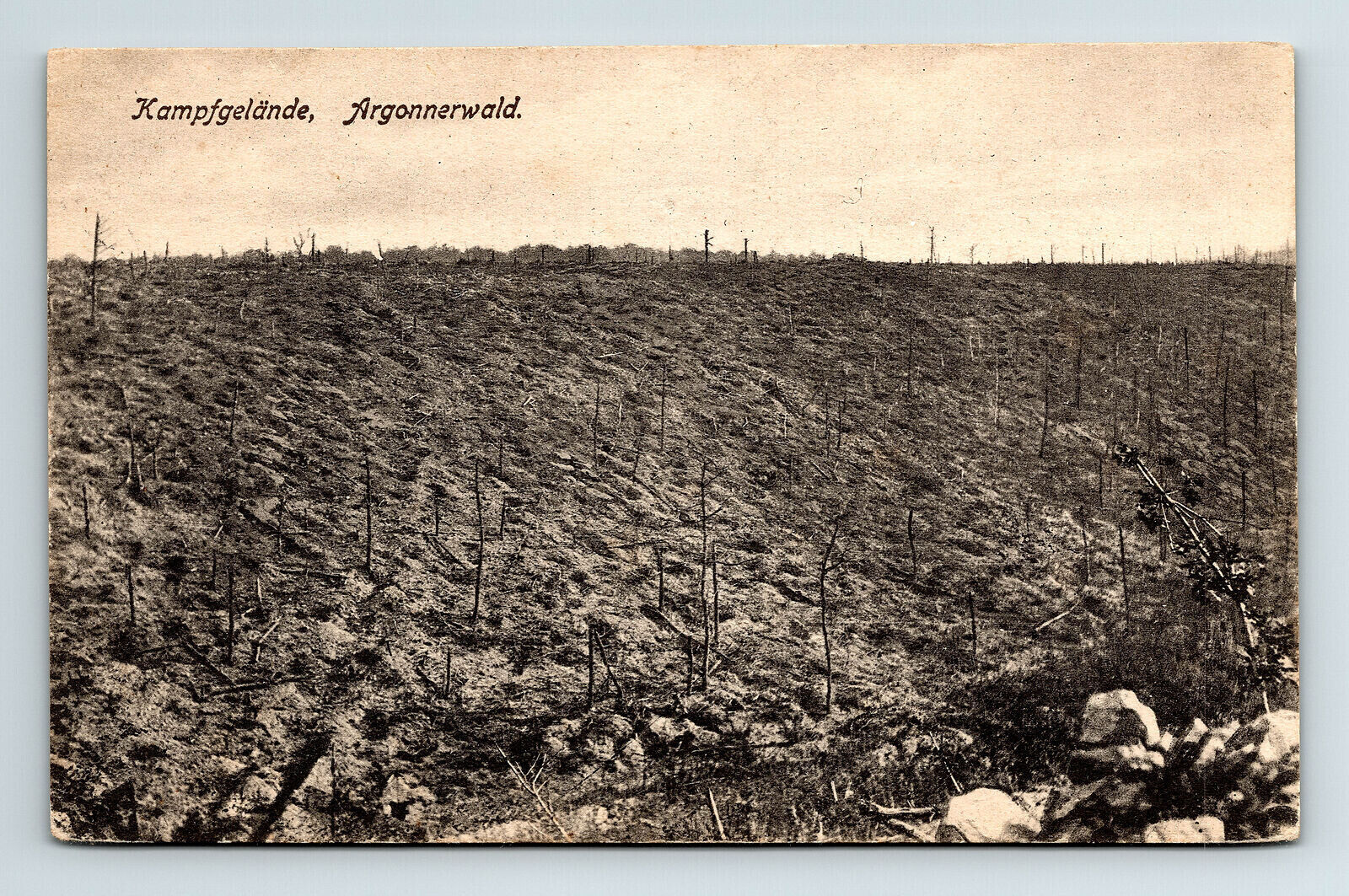 c1916 Postcard WWI Argonne Forest Battlefield Wasteland German Language