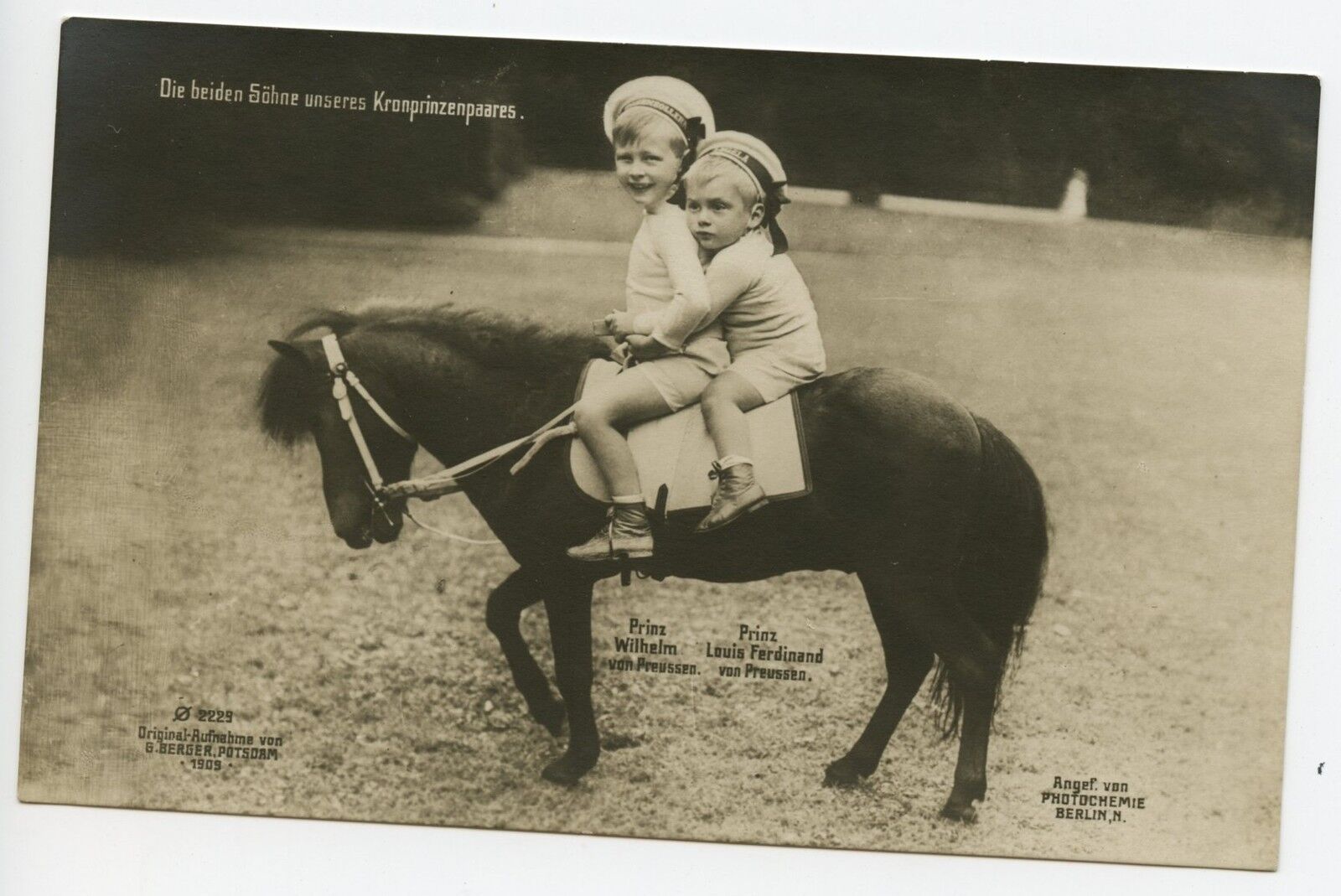 Prince Wilhelm, Prince Louise Ferdinand, Germany Vintage Photo Postcard, Royalty