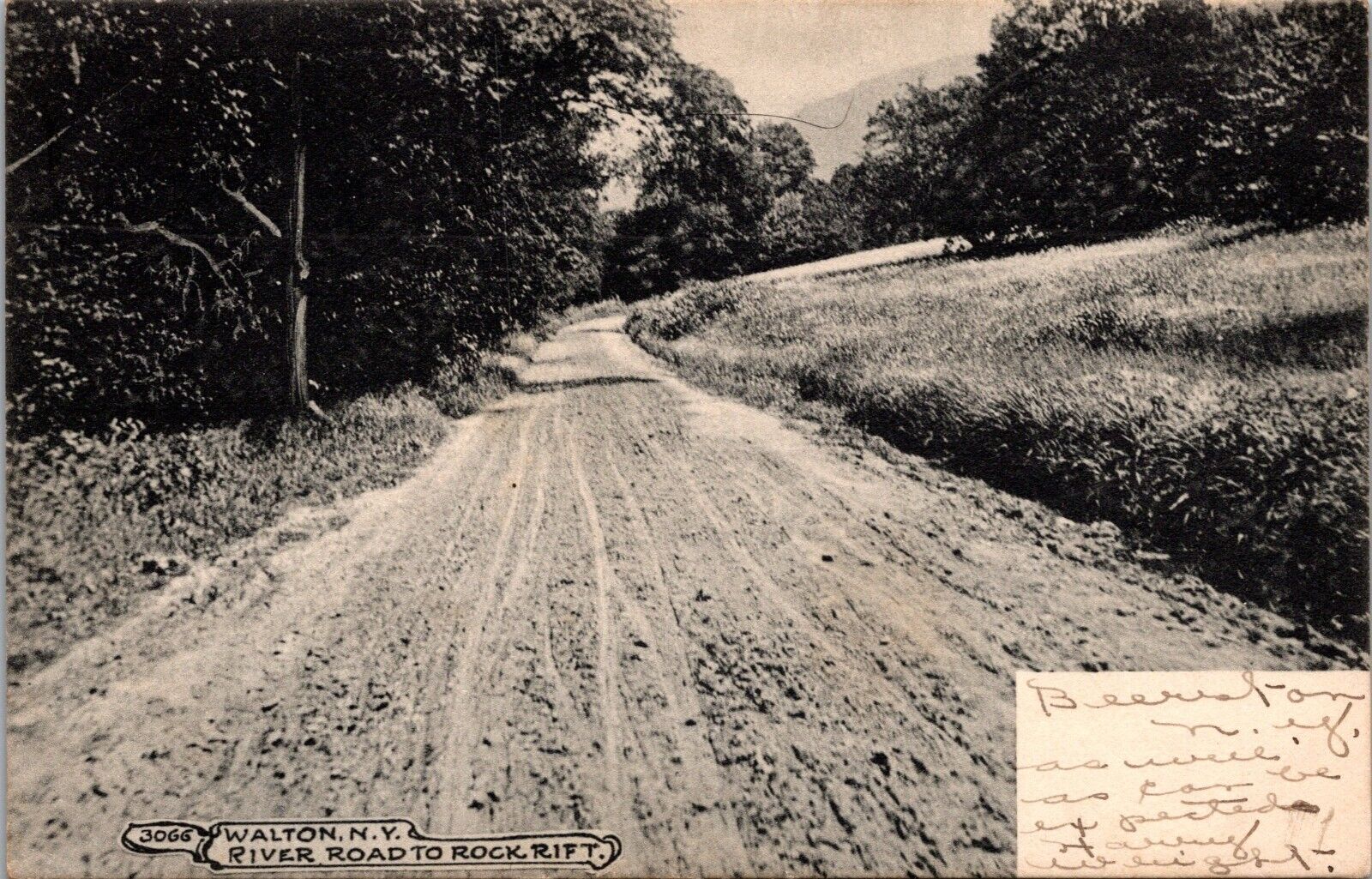 Postcard~Walton New York~River Road to Rock Rift~Scenic~Posted c1908