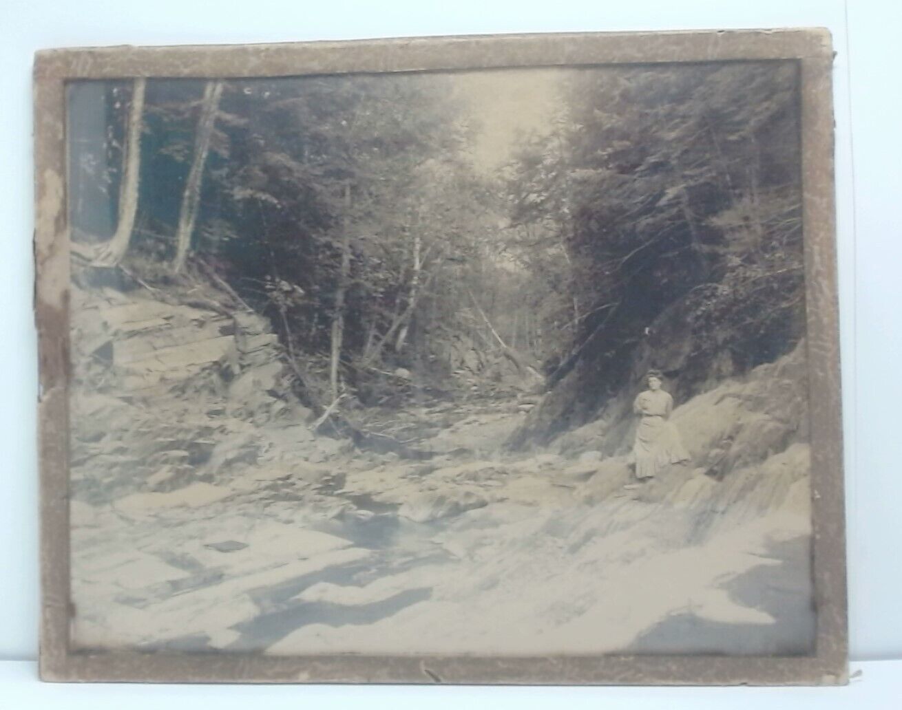 Antique Black & White Photo Woman With Wilderness Creek