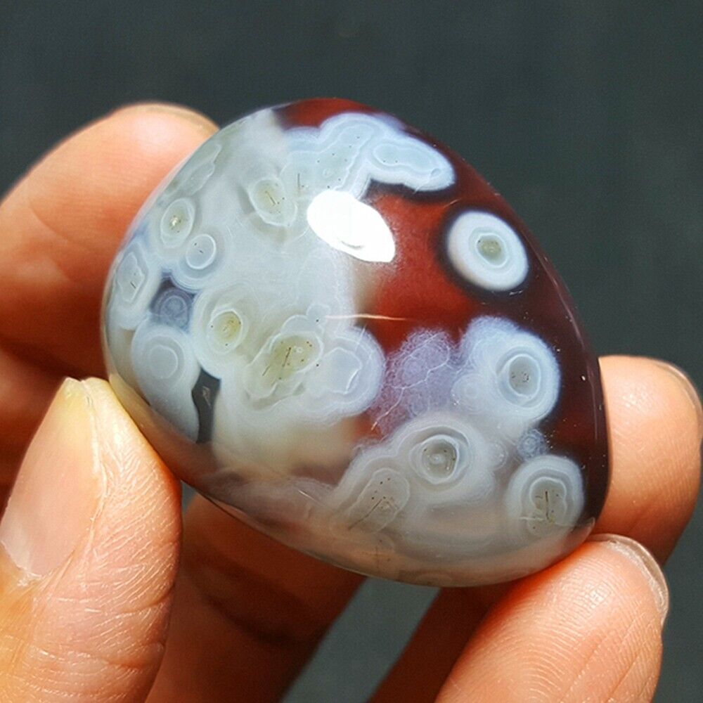HOT43.7g Natural Colorful RARE Polished  Philippine red agate Crystal 27A96+