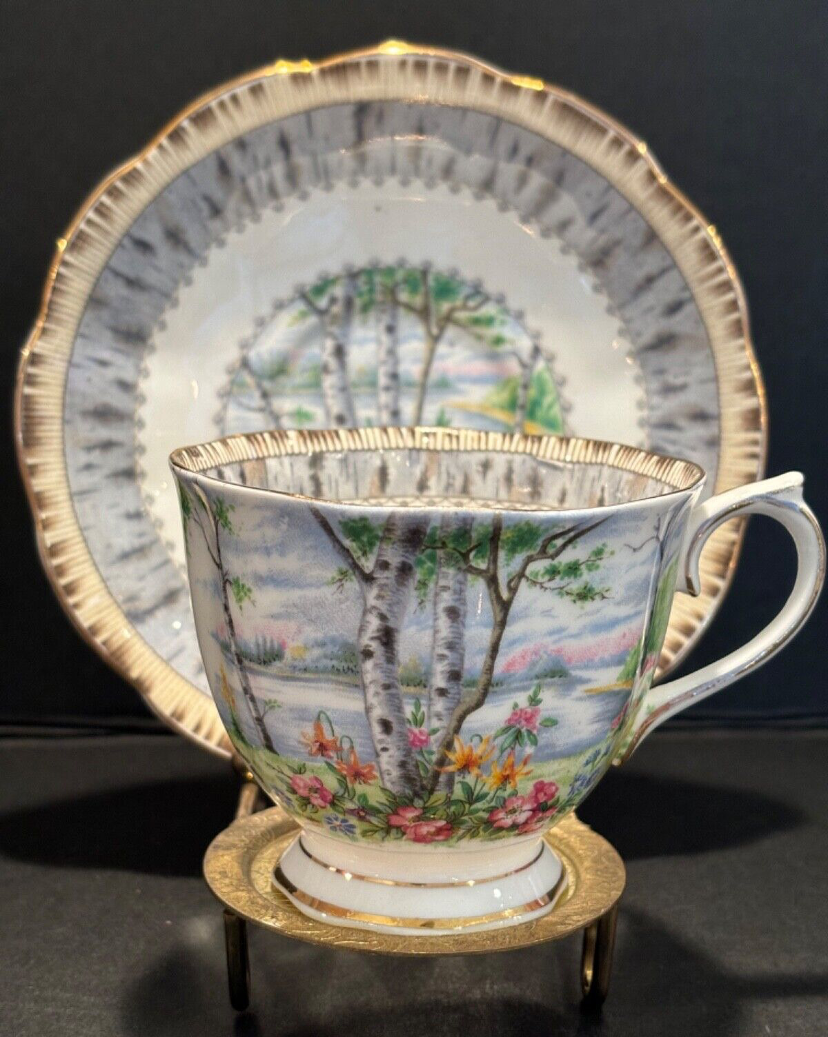 Vintage Royal Albert Silver Birch Tea Cup And Saucer England