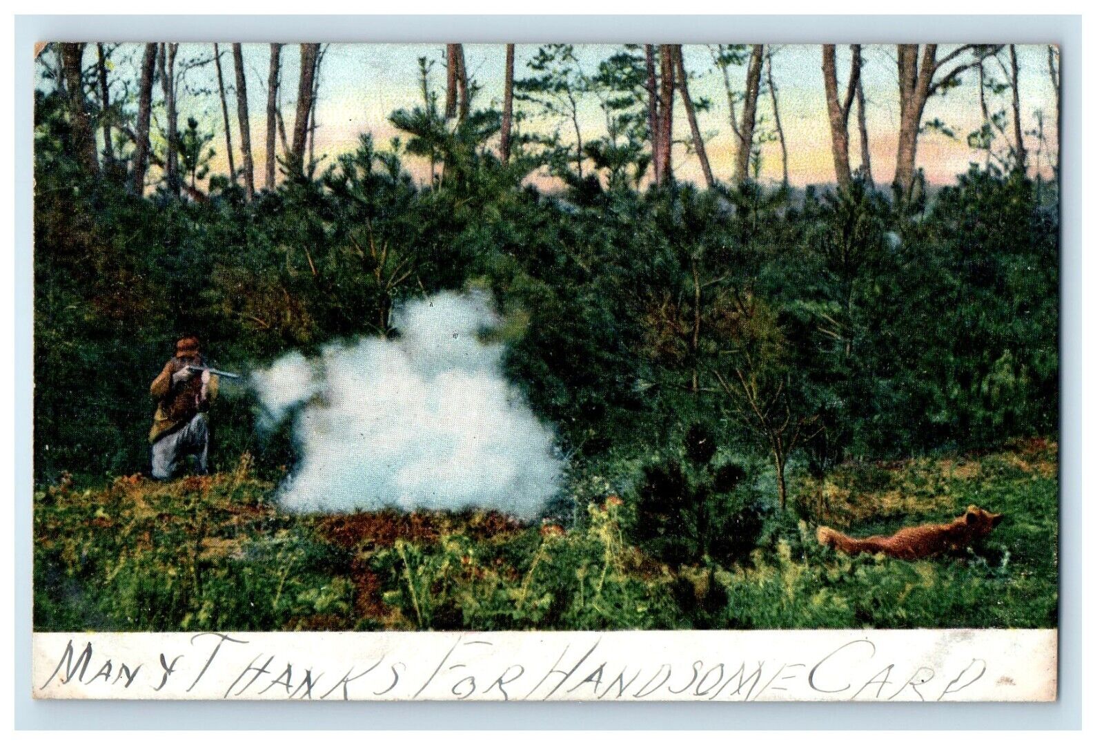 c1905 Man Rifle Gun Shooting Hunting Fox In The Forest Unposted Antique Postcard