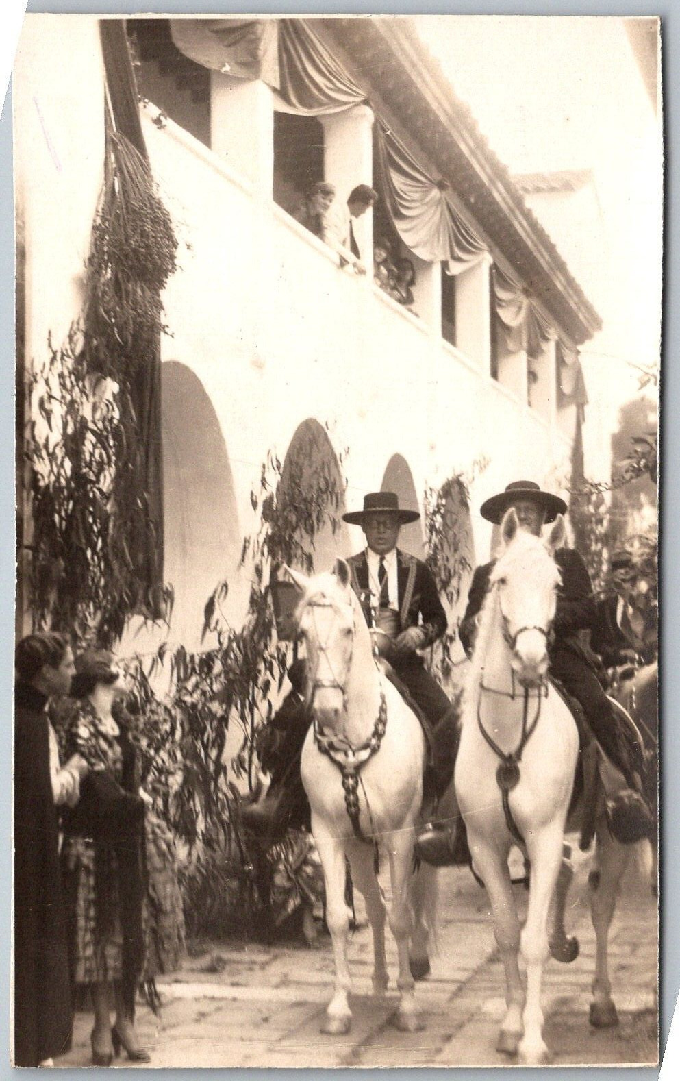 Vancouver Canada 1930s RPPC Real Photo Postcard Pair Of Horses Performers