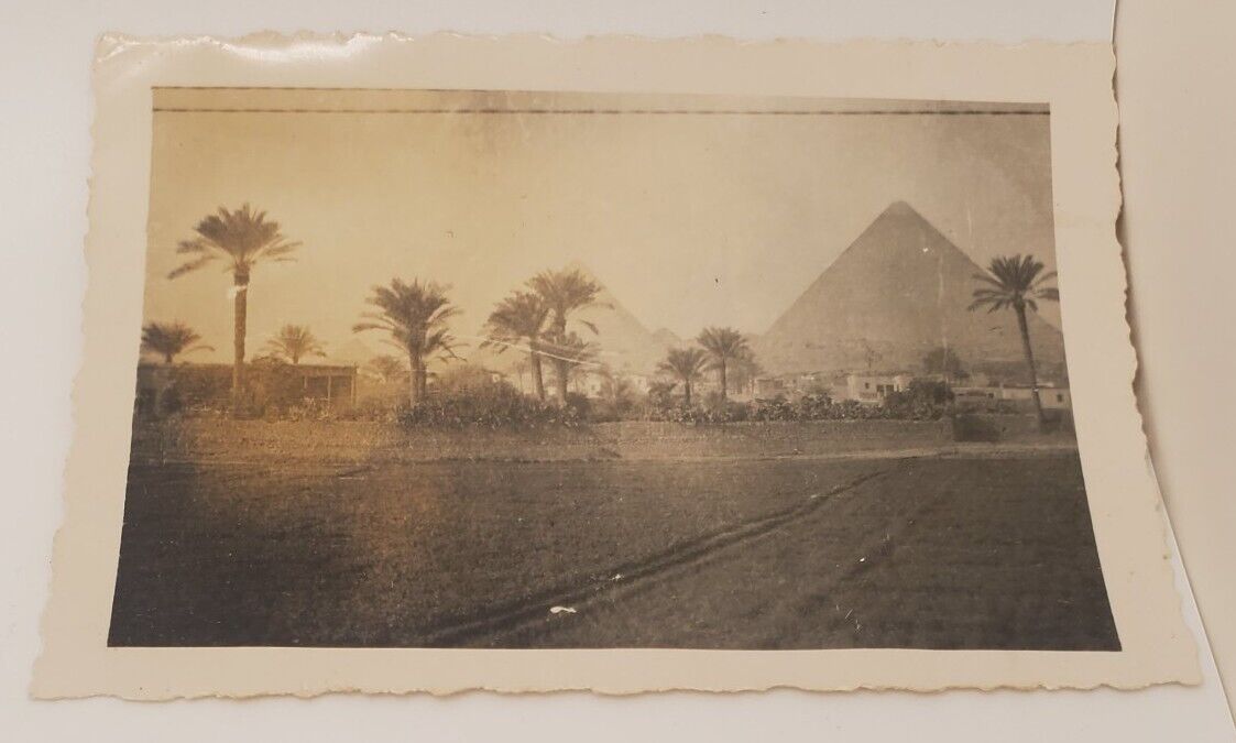 Egyptian Pyraminds Palm Trees Vintage 1940s Travel Africa Photo Photograph
