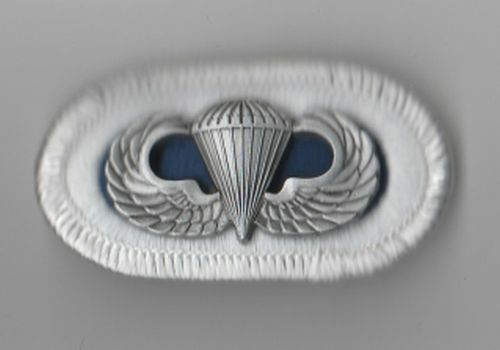 325th PARACHUTE INFANTRY - OVAL WITH JUMP WINGS - para parachute airborne