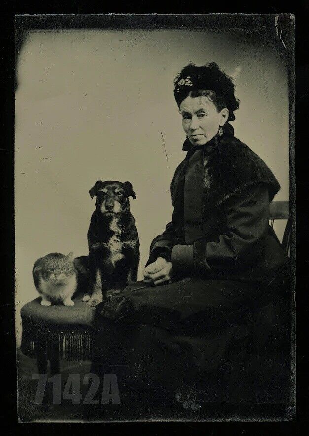 Excellent Tintype Victorian Woman with Cat & Dog Photo Antique RARE VTG