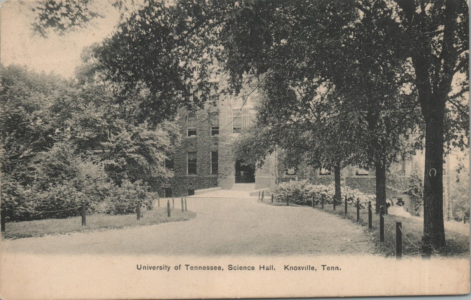 University Of Tennessee Science Hall Knoxville Tennessee 1909 Postcard