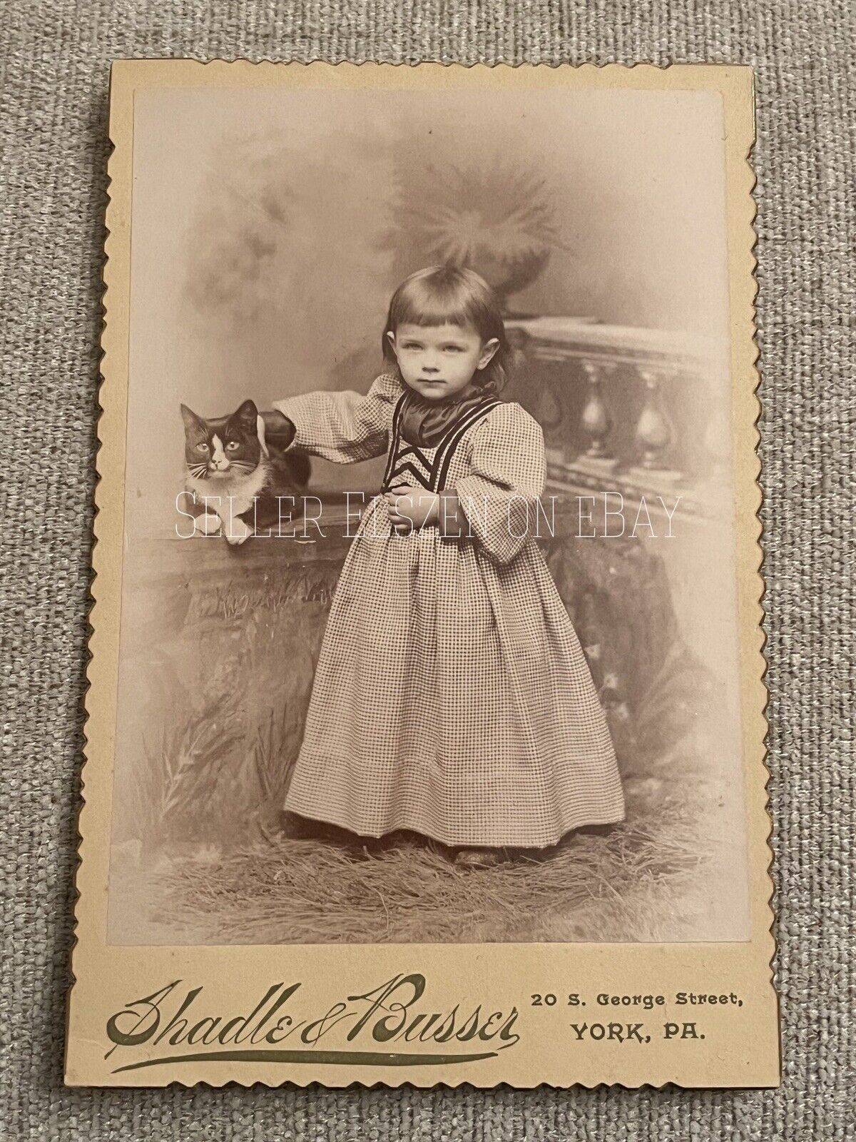 Antique Rare Victorian Cabinet Photo Of “Darbo” Tuxedo Cat And Girl Toddler Mary