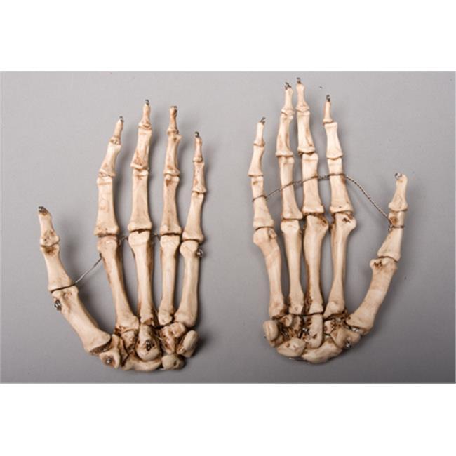 Skeletons and More SM376DRA Aged Right Skeleton Hand