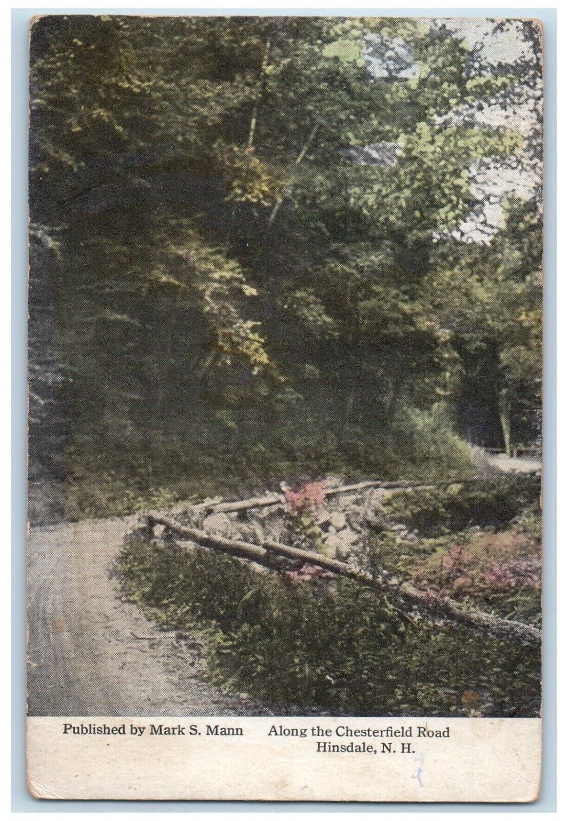 c1910\'s Along the Chesterfield Road Hinsdale New Hampshire NH Vintage Postcard
