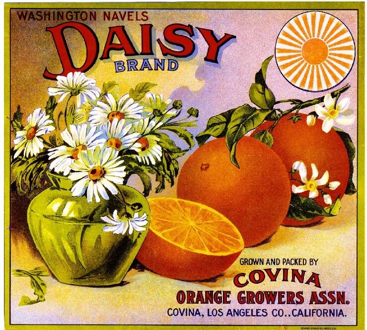 Covina Los Angeles California Daisy Orange Citrus Fruit Crate Label Art Print