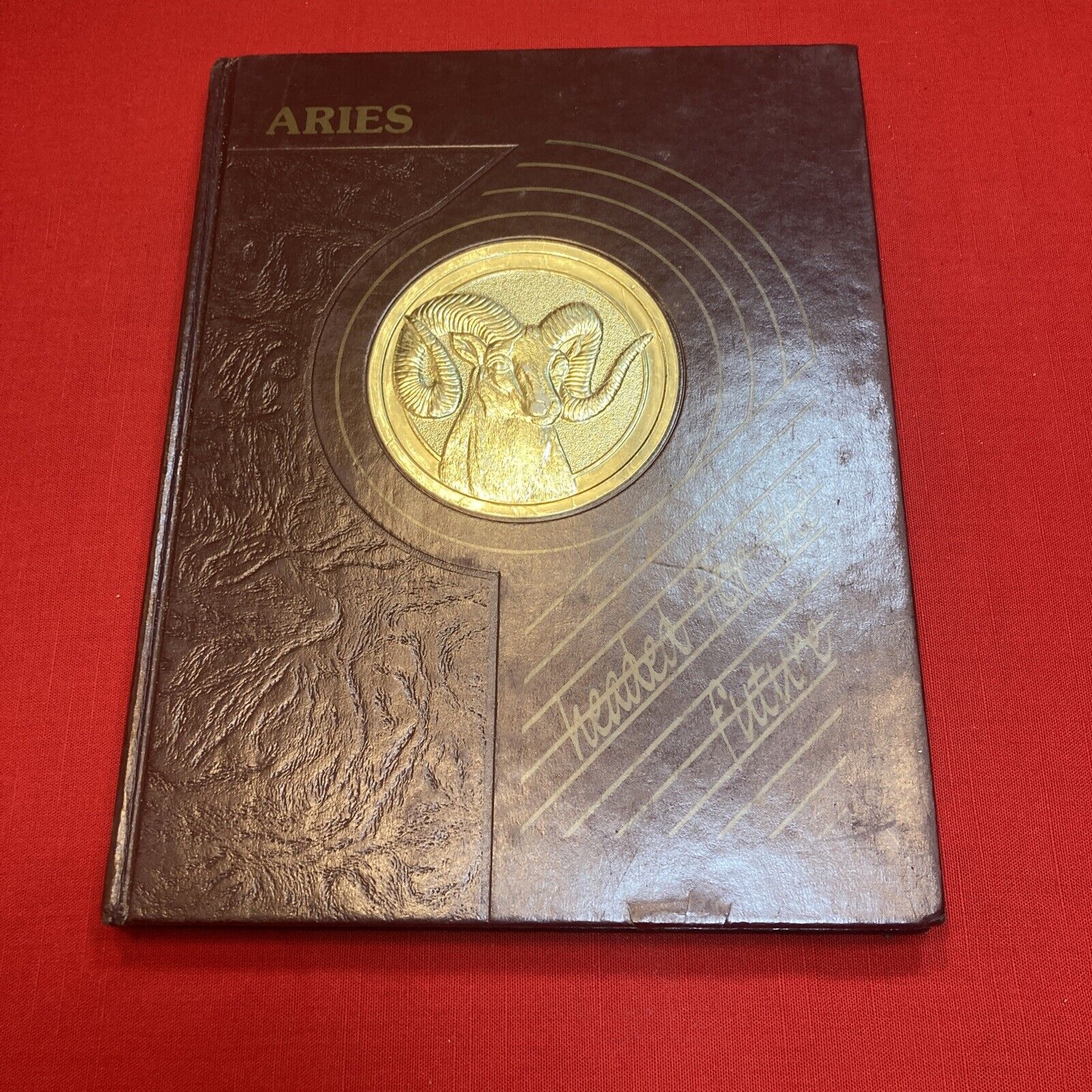 1987 Gloucester Catholic New Jersey yearbook. “Aries”  Gloucester New Jersey