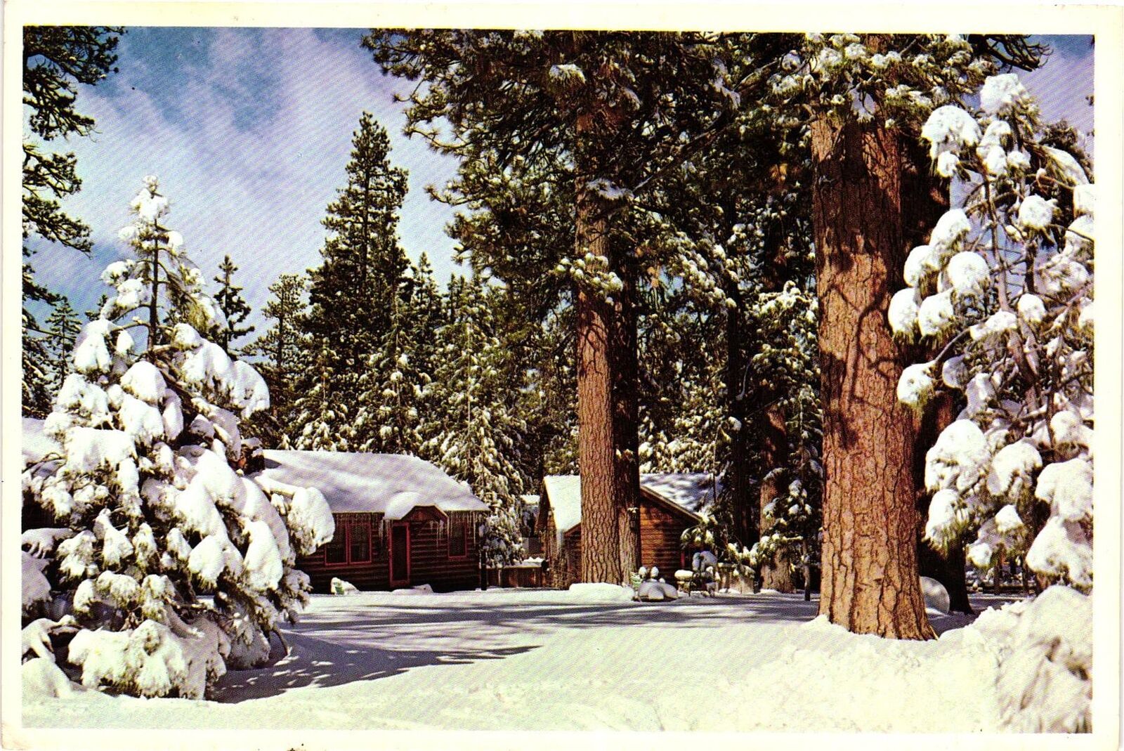 Vintage Postcard 4x6- RESORT CABINS NORTHERN ARIZONA, AZ. 1960-80s