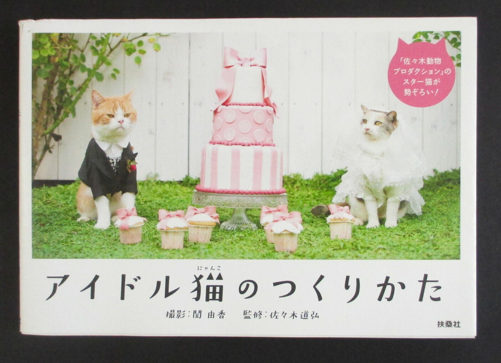 Rare Japan Import CAT'S WEDDING PHOTO BOOK Funny Kitten Pictures Bride Tankobon